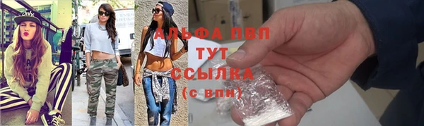 эйфоретик Баксан