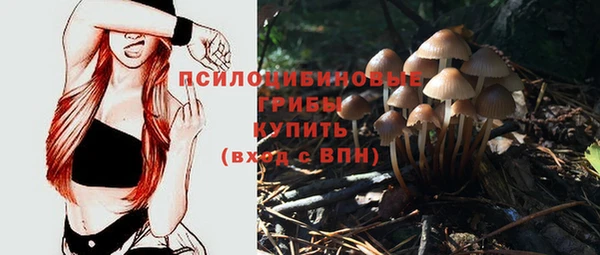эйфоретик Баксан