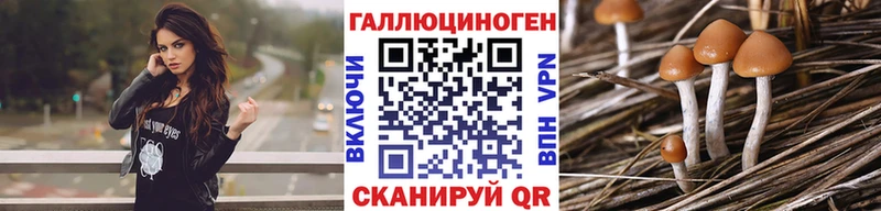 наркотики  Спас-Деменск  mega маркетплейс  Псилоцибиновые грибы MAGIC MUSHROOMS 